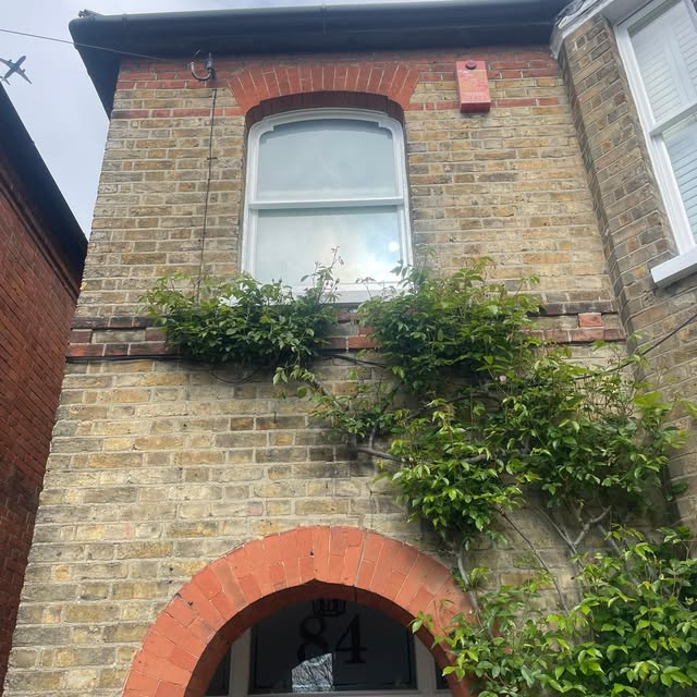 Arched sash window above a brick entrance
